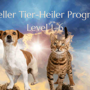 Spiritueller Tier-Heiler Programm